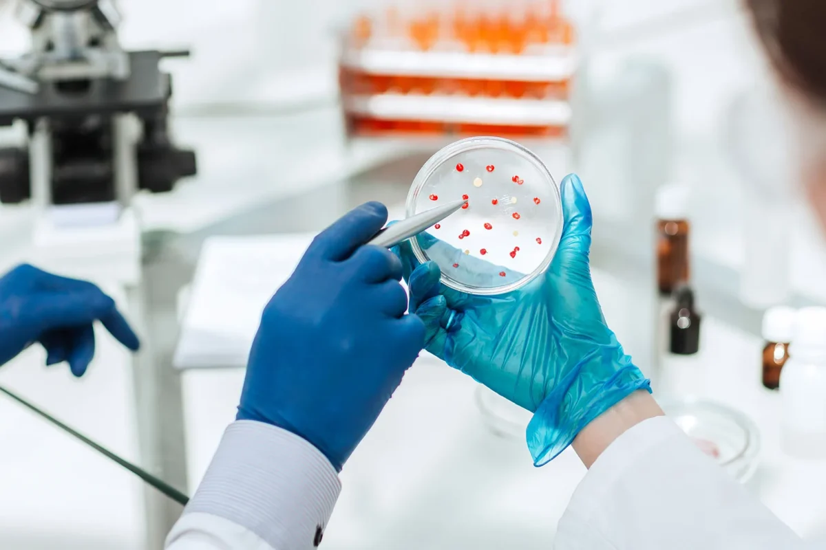 laboratory4