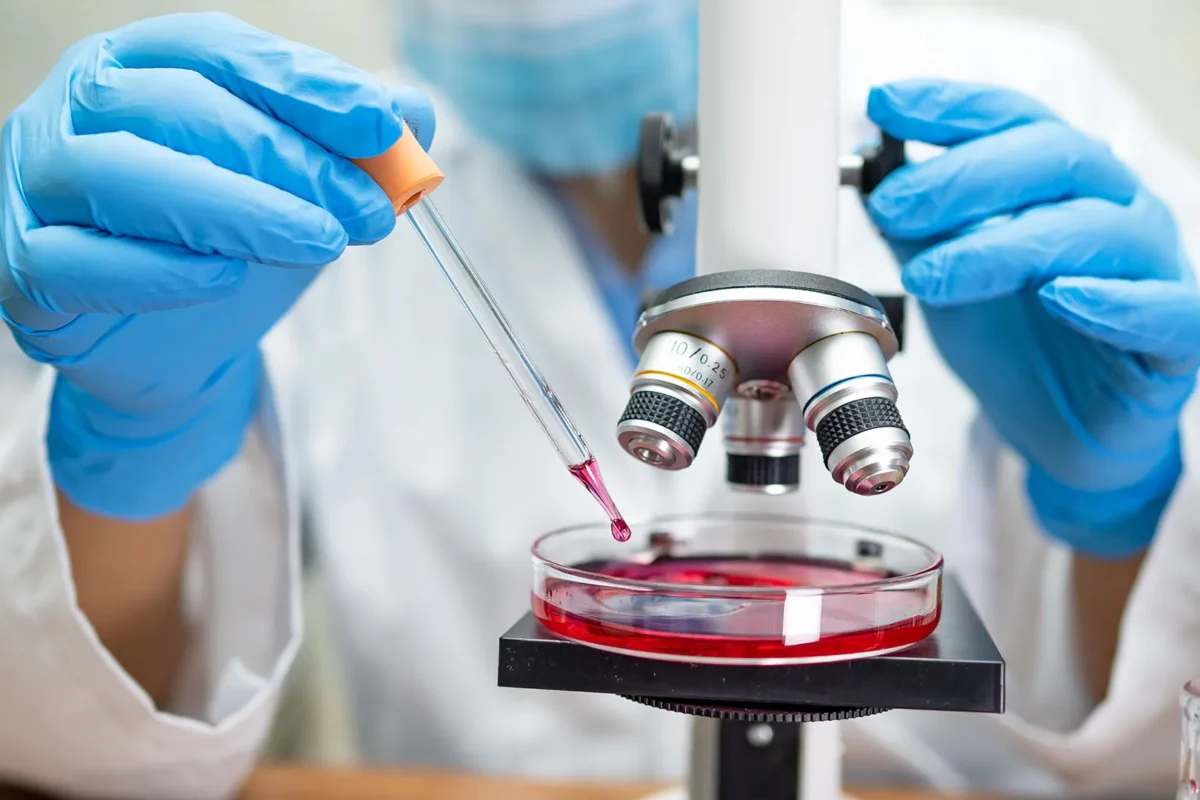 laboratory5